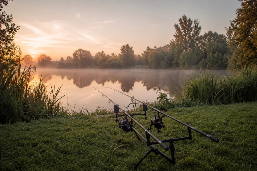 Karpfenruten am Ufer im Morgennebel