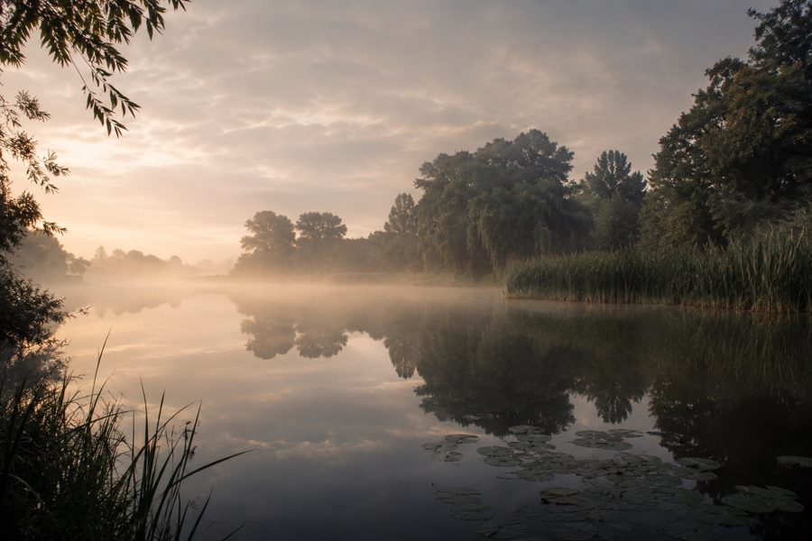 Karpfensee bei Tageslicht